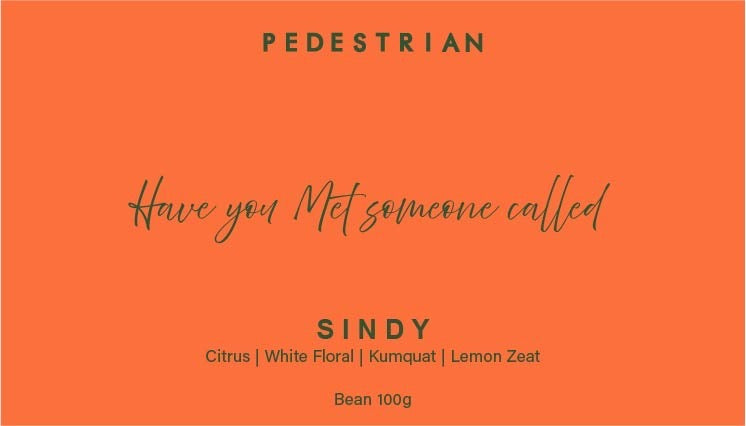 Sindy - Ethiopia Limu (Fruity)