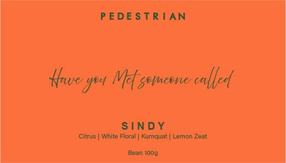 Sindy - Ethiopia Limu (Fruity)