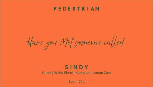Sindy - Ethiopia Limu (Fruity)