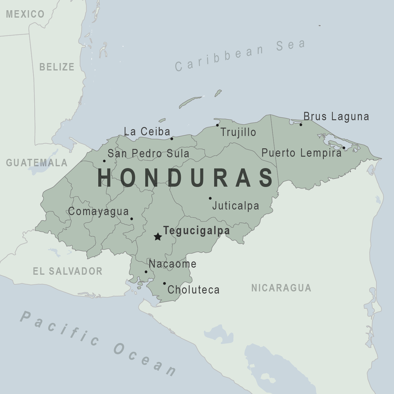 Iris - Honduras - Coffee Beans (Winey)